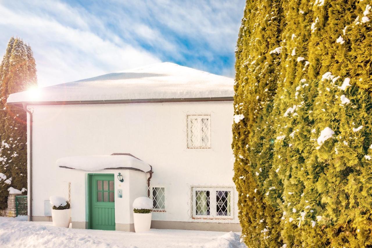 Townhouse Riva, Prime Location In The City Of Salzburg, 1000M2 Backyard Villa Ngoại thất bức ảnh
